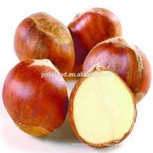 Fresh Chestnut